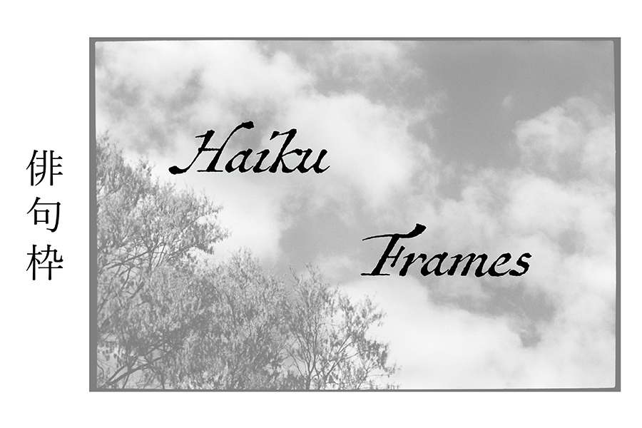 Haiku Frames Cover